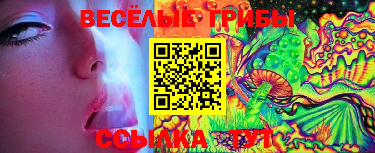 Псилоцибиновые грибы GOLDEN TEACHER  хочу наркоту  Галлюциногенные грибы MAGIC MUSHROOMS  Липецк  Вход с VPN 